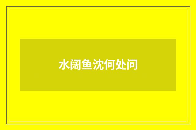 水阔鱼沈何处问