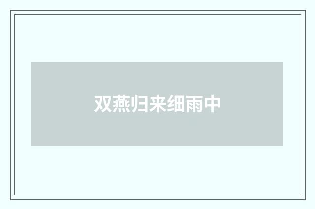 双燕归来细雨中