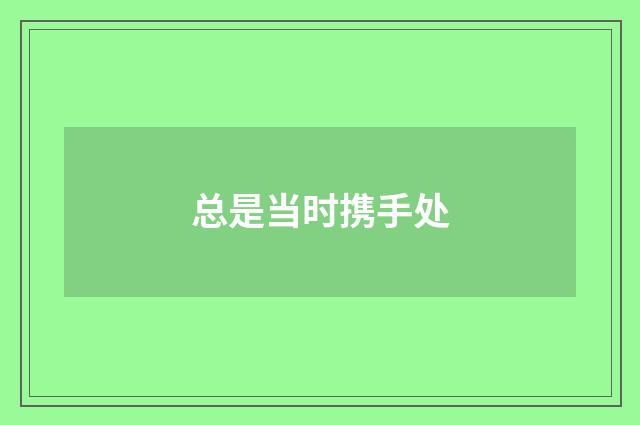 总是当时携手处