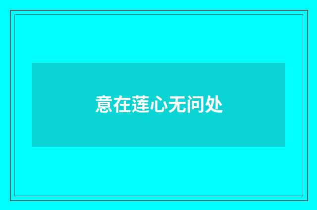 意在莲心无问处