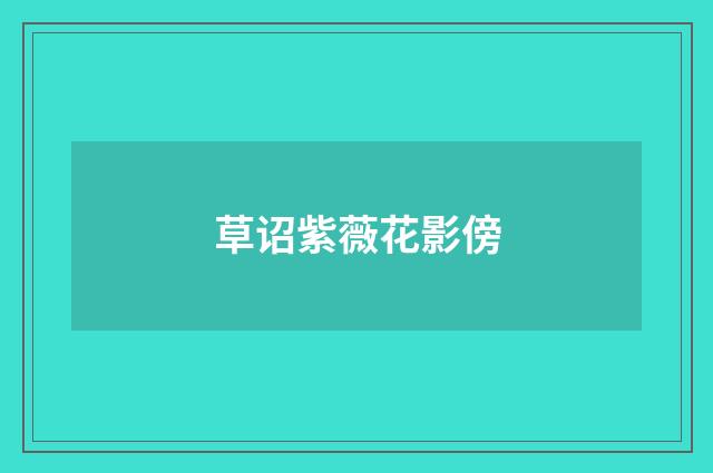 草诏紫薇花影傍
