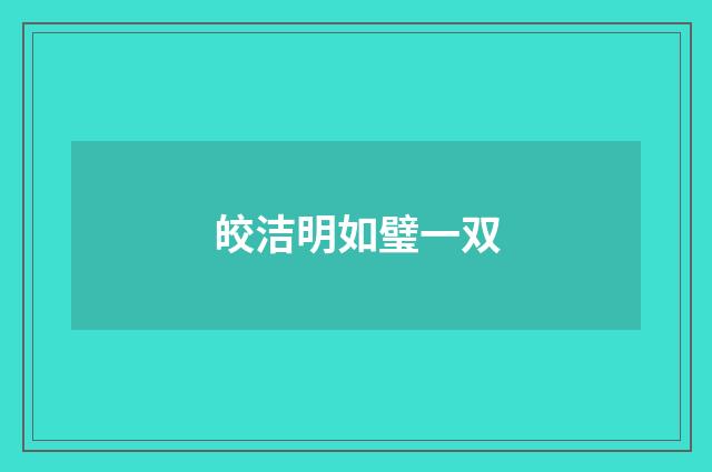 皎洁明如璧一双