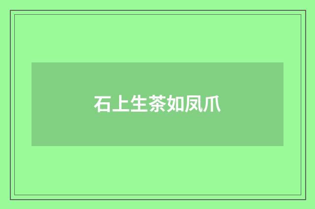 石上生茶如凤爪