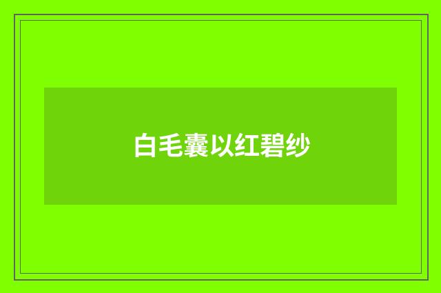 白毛囊以红碧纱