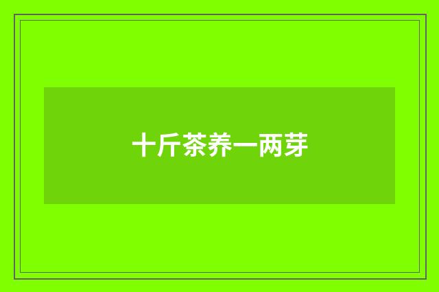 十斤茶养一两芽