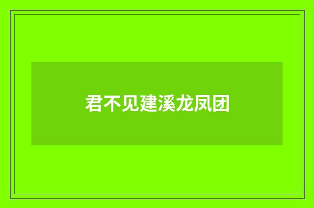 君不见建溪龙凤团