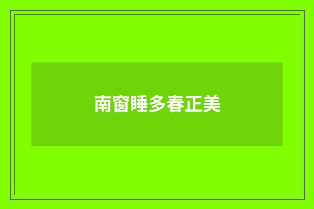 南窗睡多春正美
