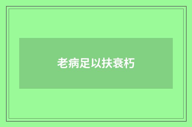 老病足以扶衰朽