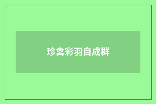 珍禽彩羽自成群