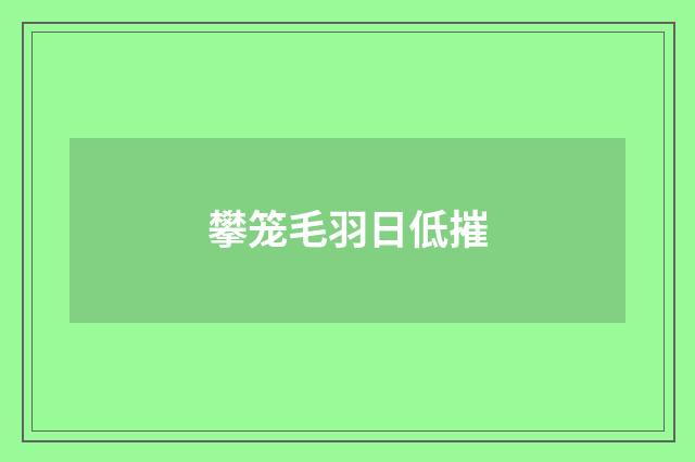 攀笼毛羽日低摧