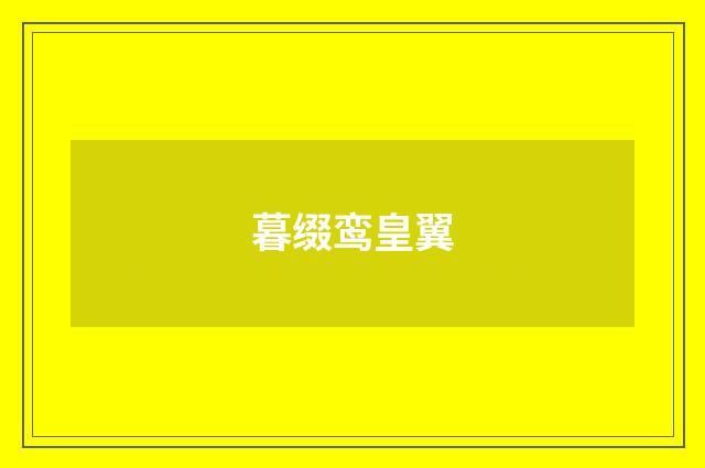 暮缀鸾皇翼