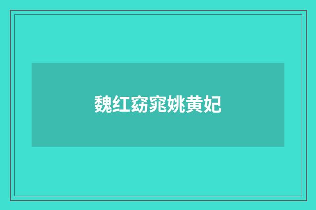 魏红窈窕姚黄妃