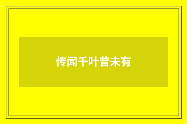传闻千叶昔未有