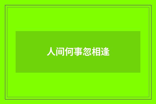 人间何事忽相逢