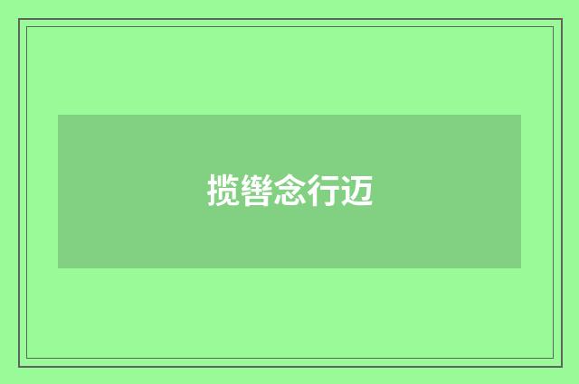 揽辔念行迈