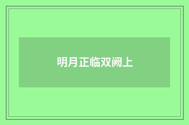明月正临双阙上