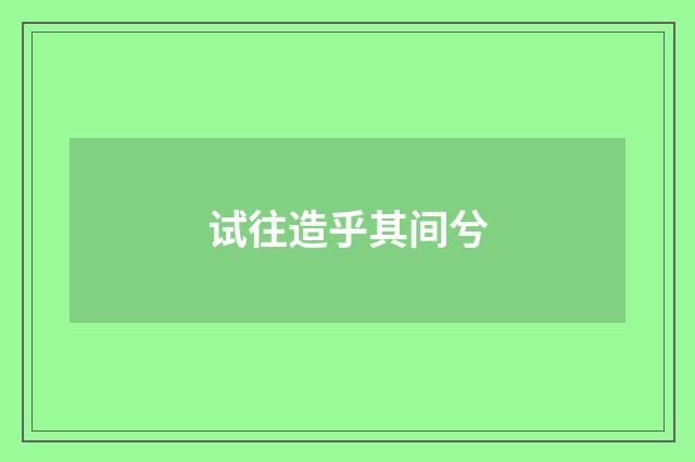 试往造乎其间兮