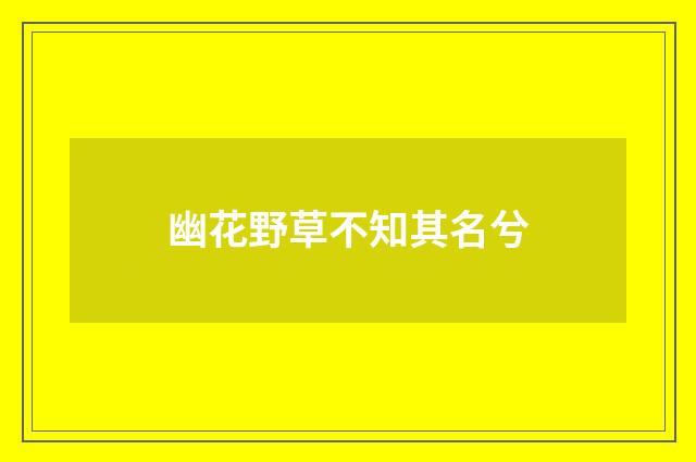 幽花野草不知其名兮