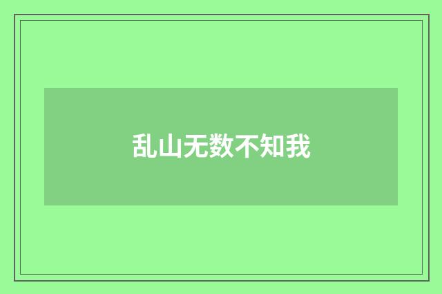 乱山无数不知我