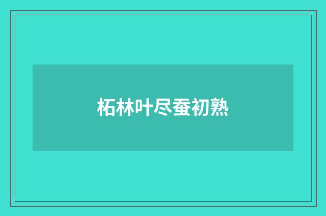 柘林叶尽蚕初熟