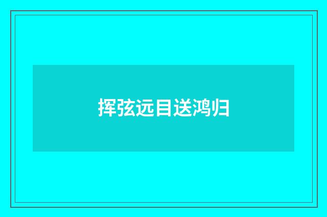 挥弦远目送鸿归