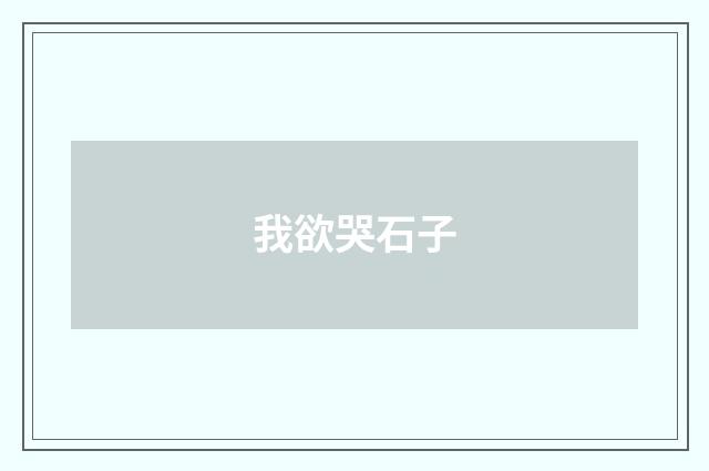 我欲哭石子