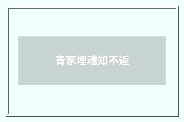 青冢埋魂知不返