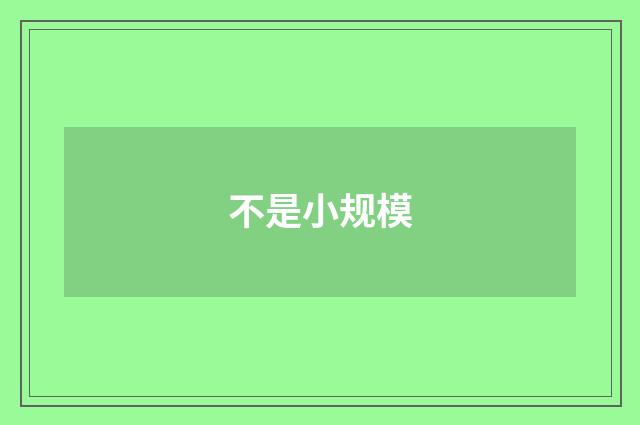 不是小规模