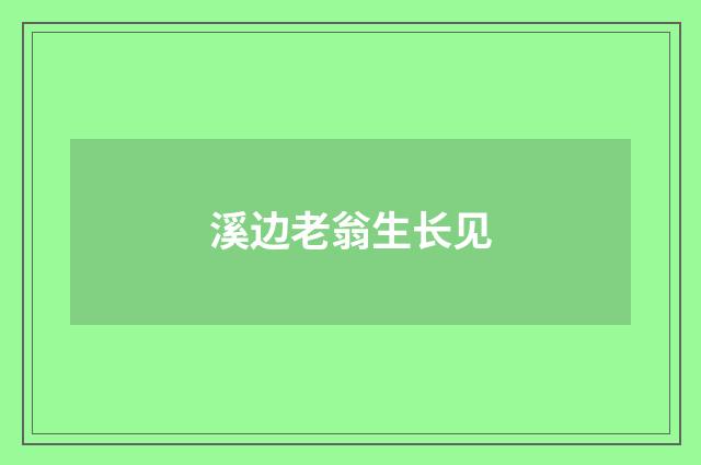 溪边老翁生长见