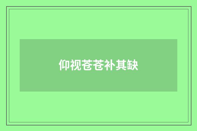 仰视苍苍补其缺