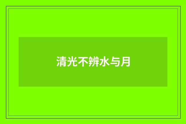清光不辨水与月