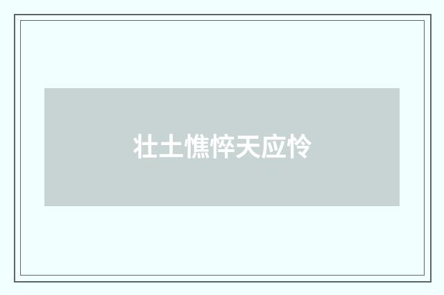 壮土憔悴天应怜