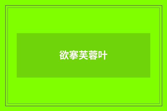 欲搴芙蓉叶