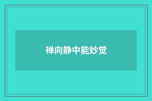 禅向静中能妙觉