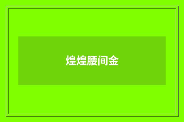 煌煌腰间金