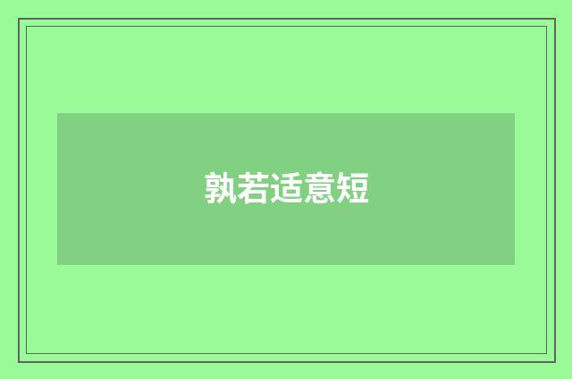 孰若适意短