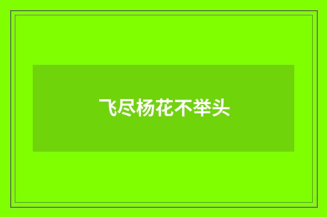 飞尽杨花不举头