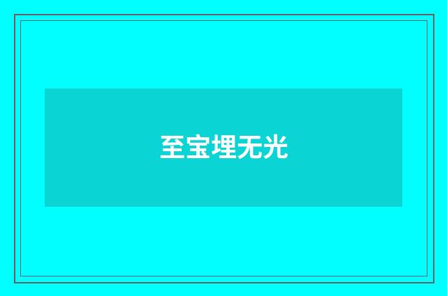 至宝埋无光