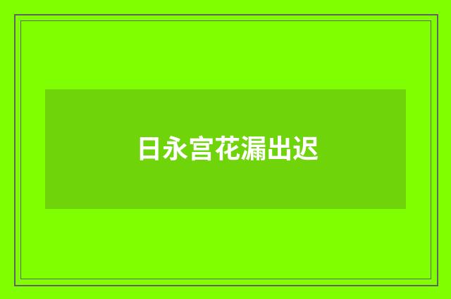 日永宫花漏出迟