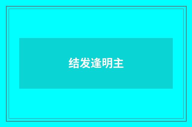 结发逢明主