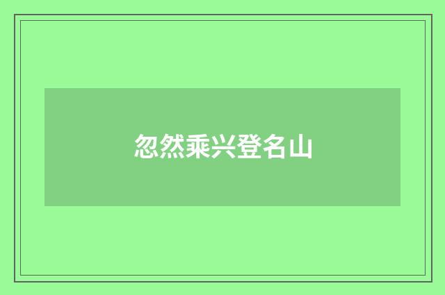 忽然乘兴登名山