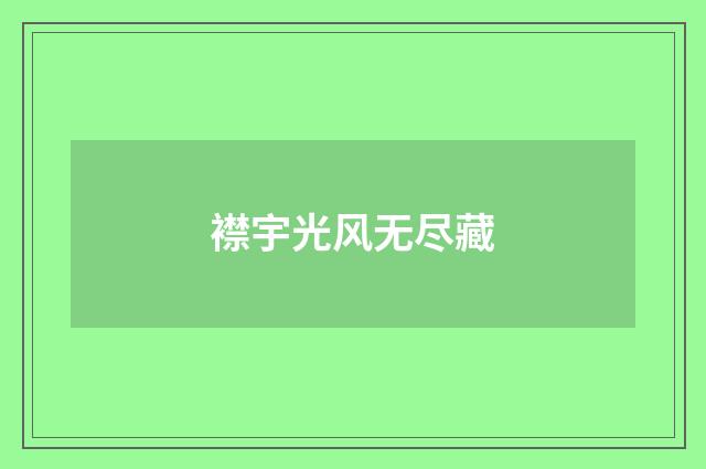 襟宇光风无尽藏