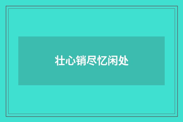 壮心销尽忆闲处