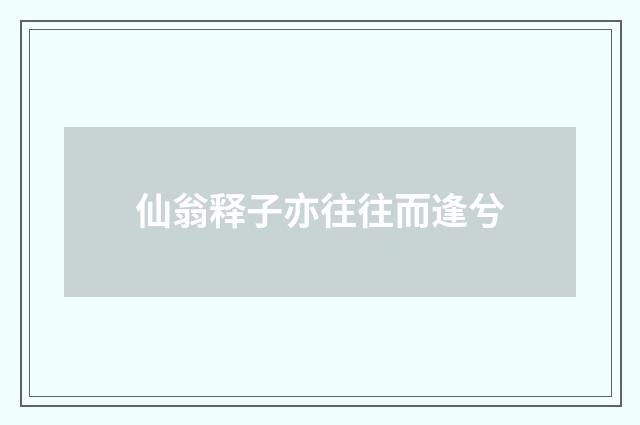 仙翁释子亦往往而逢兮