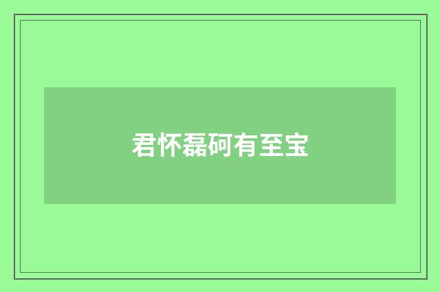 君怀磊砢有至宝