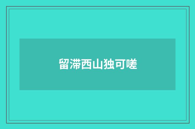 留滞西山独可嗟