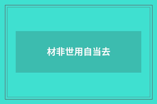 材非世用自当去