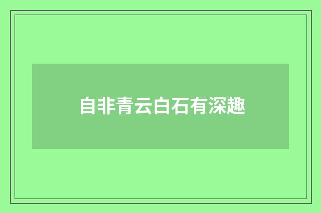 自非青云白石有深趣