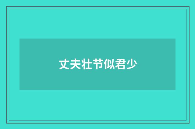 丈夫壮节似君少