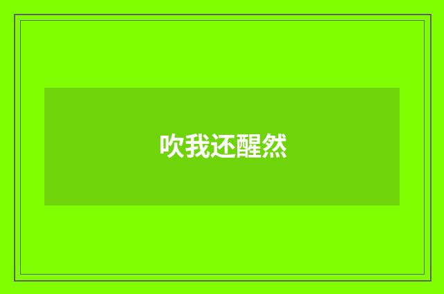 吹我还醒然